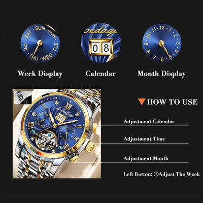 POEDAGAR 1408 Luxury Automatic Mechanical Wristwatch